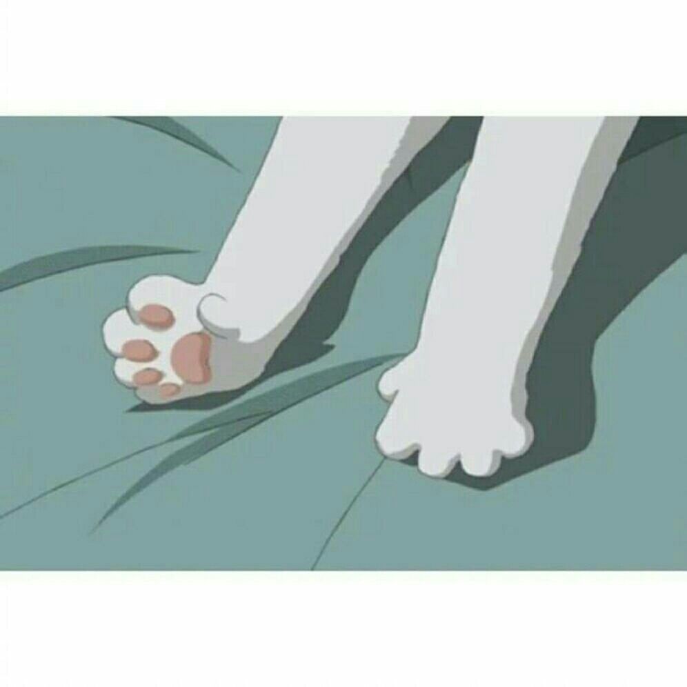 Shz_