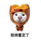 hashiguchi_takashi